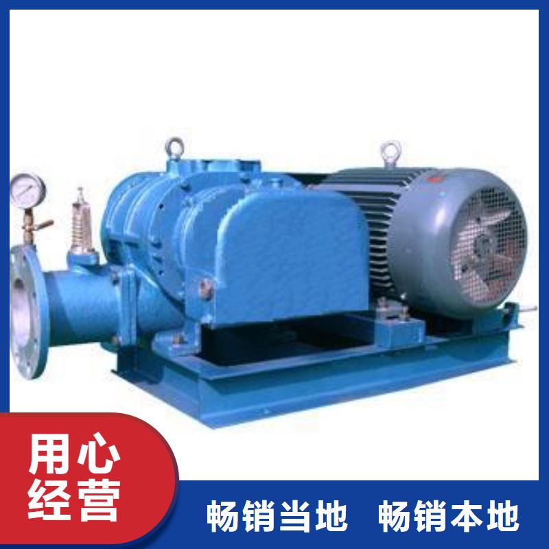 2025羅茨鼓風機LFSR200