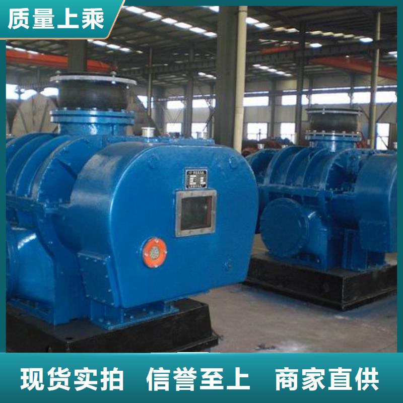 山東臨風科技股份有限公司羅茨鼓風機LFSR200