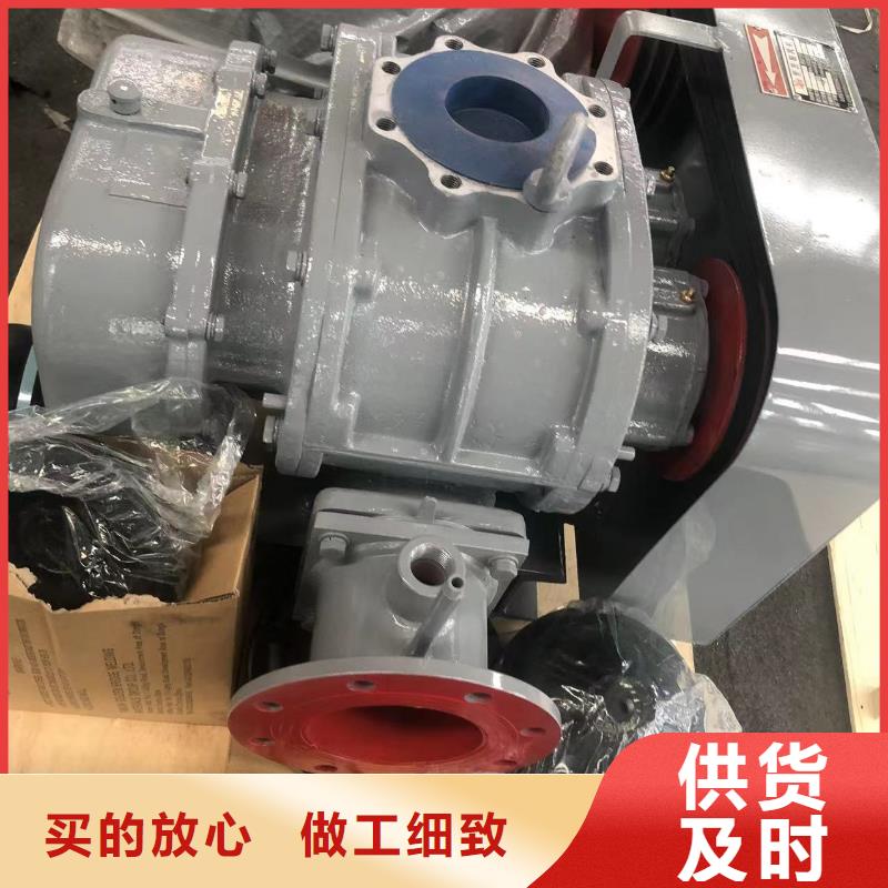 山東臨風科技氧化風機LFSR80