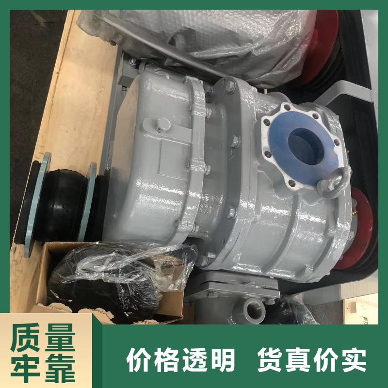 每日三葉羅茨鼓風機LFSR300