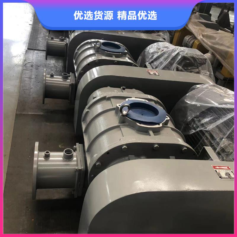 每日三葉羅茨鼓風機LFSR125