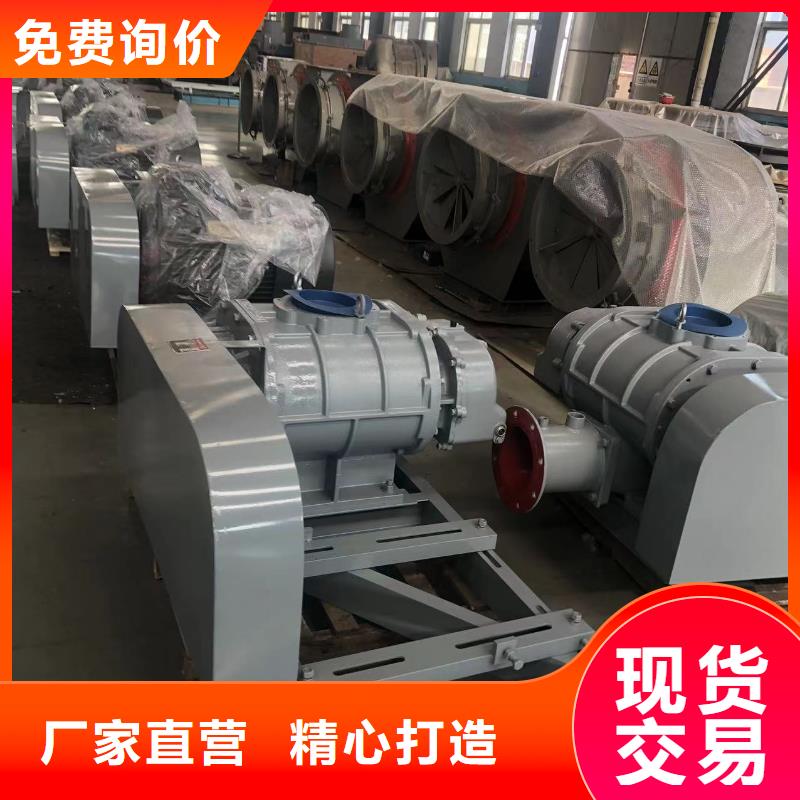 每日L系列羅茨風機LFSR250