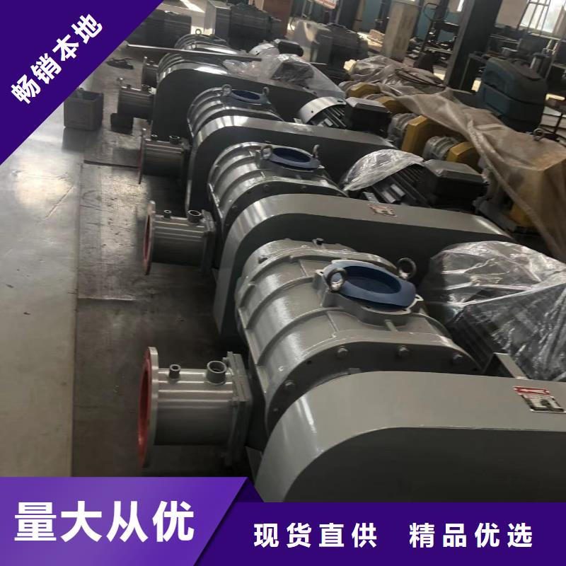山東臨風(fēng)科技股份有限公司L系列羅茨風(fēng)機(jī)LFSR250