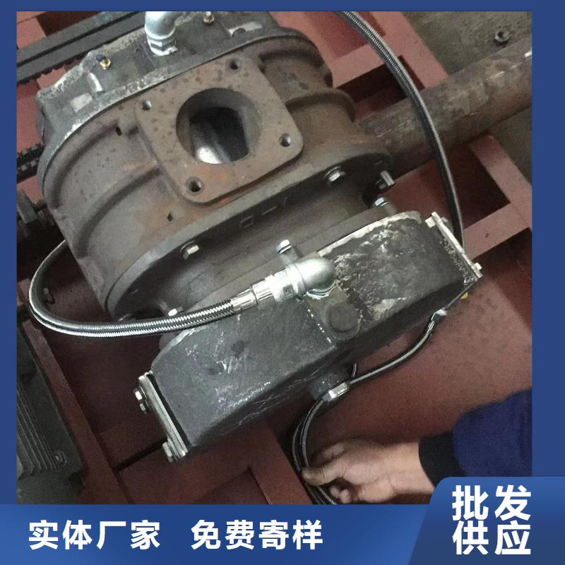 每日羅茨鼓風機LFSR250