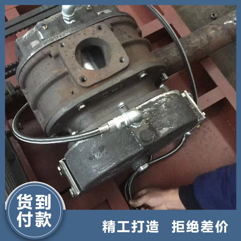 山東臨風科技股份有限公司L系列羅茨風機LFSR200