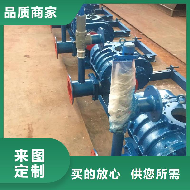 效率高兩葉羅茨風機LFSR125