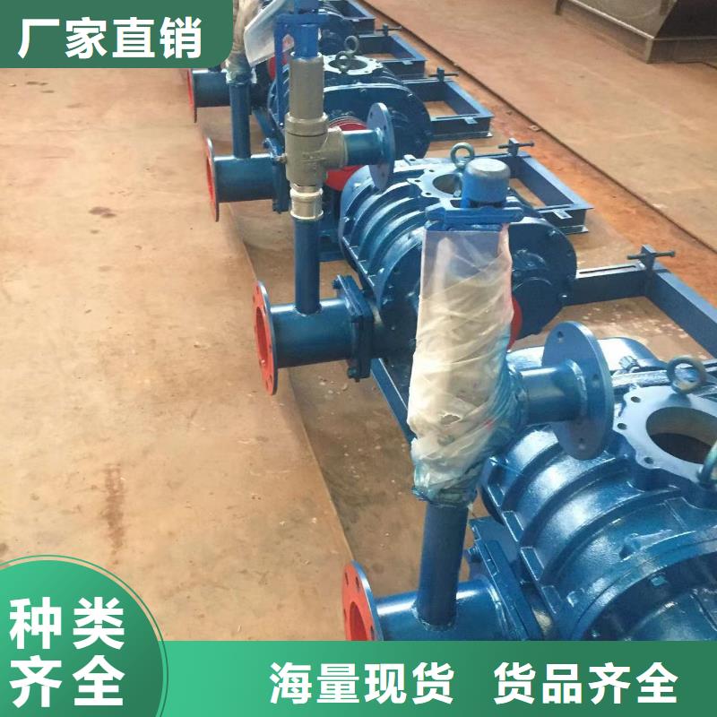 山東臨風科技股份羅茨鼓風機LFSR100