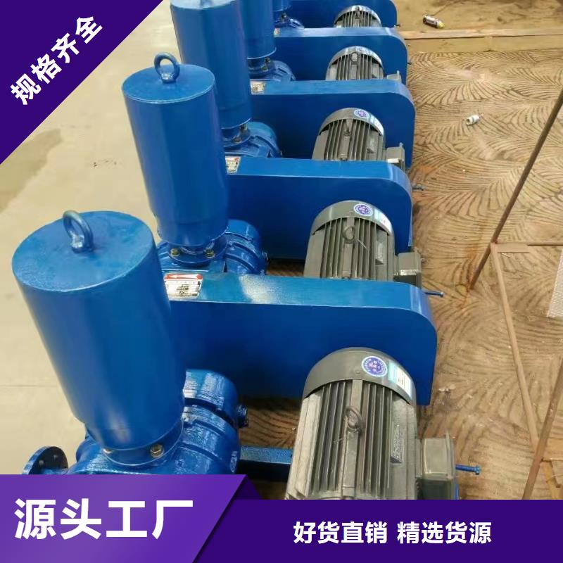 每日兩葉羅茨風機LFSR100
