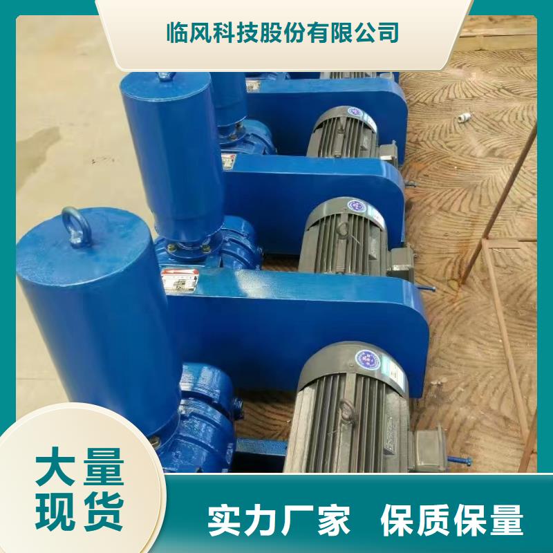 山東臨風科技股份兩葉羅茨風機LFSR125