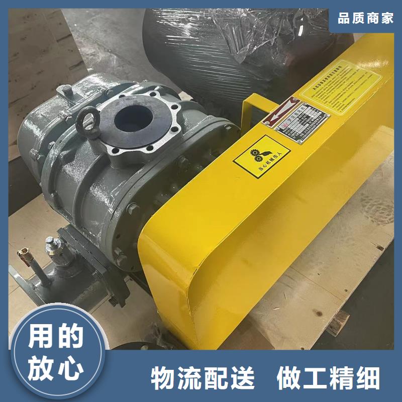 山東臨風科技股份有限公司羅茨鼓風機LFSR150
