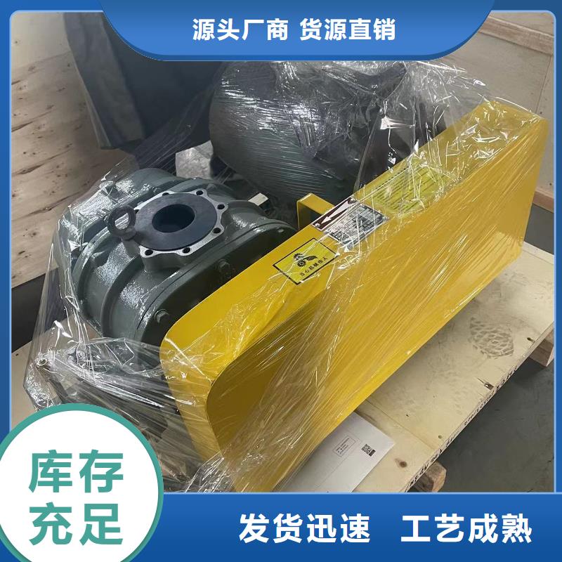 每日三葉羅茨鼓風(fēng)機(jī)LFSR125