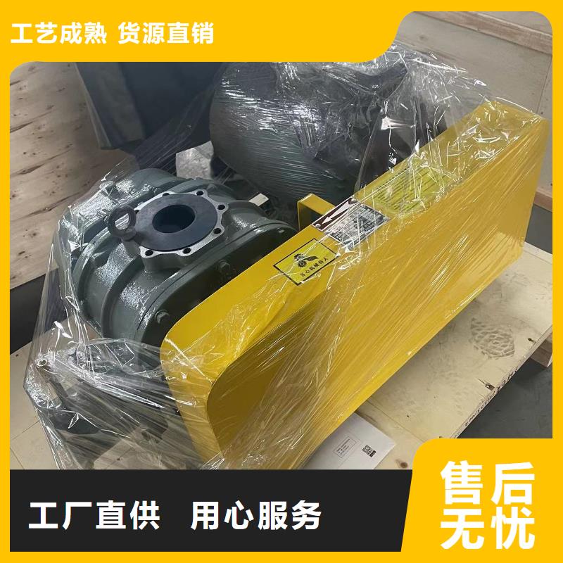 2025三葉羅茨鼓風(fēng)機(jī)LFSR300