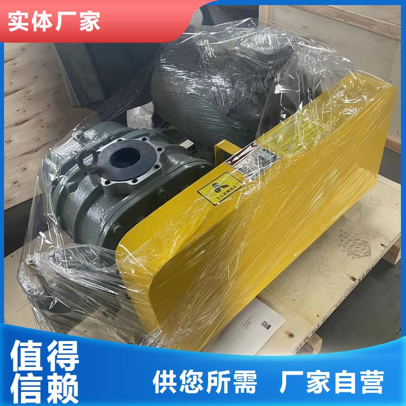 山東臨風科技股份兩葉羅茨風機LFSR250昌江縣