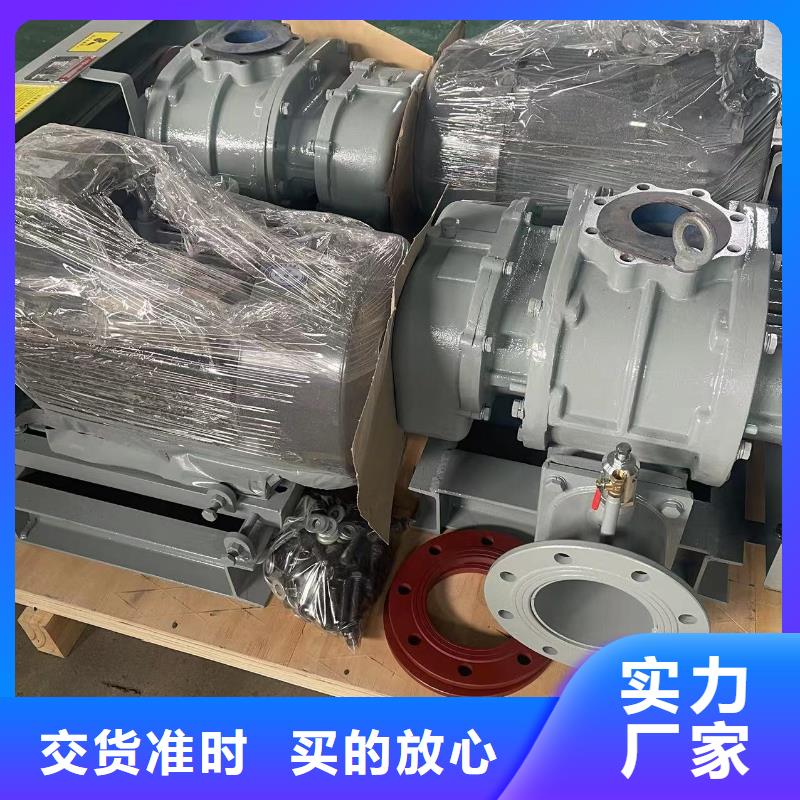 每日三葉羅茨鼓風機LFSR200
