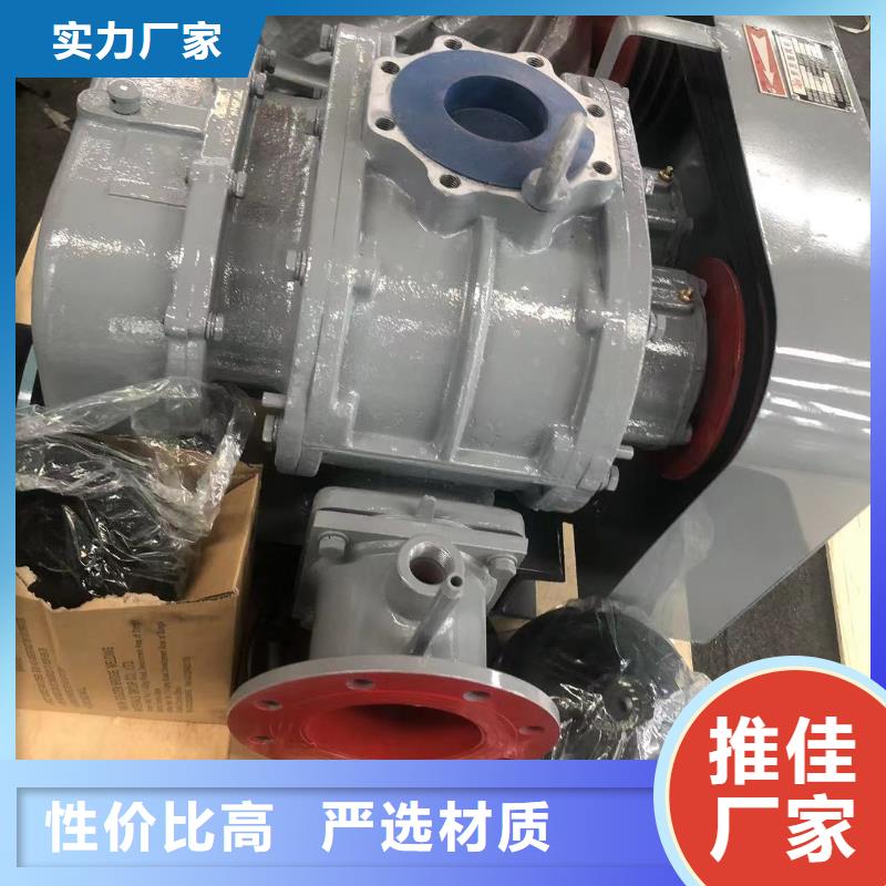 2025羅茨鼓風(fēng)機LFSR300