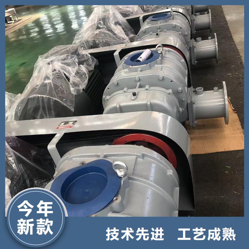 效率高羅茨鼓風(fēng)機(jī)LFSR250