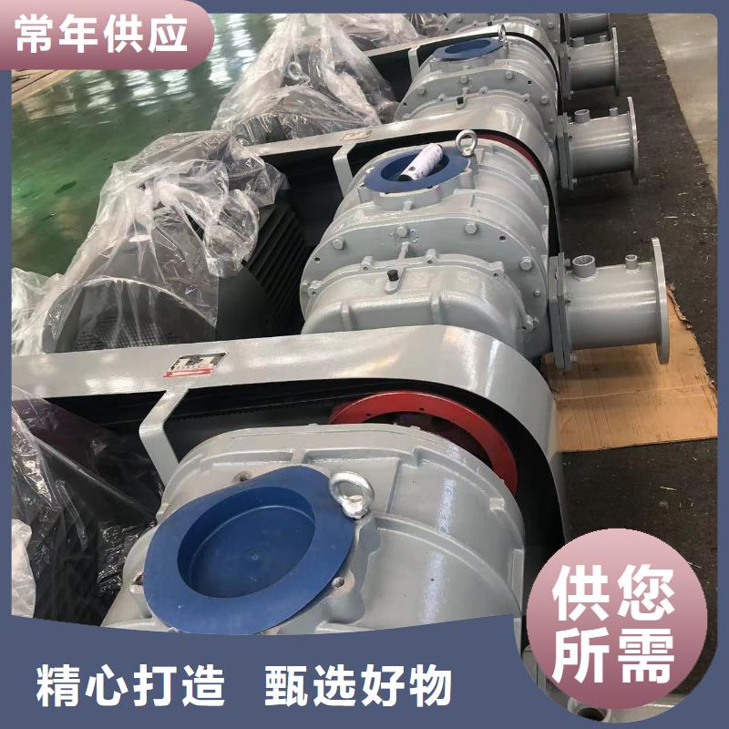 山東臨風科技股份有限公司羅茨真空泵LFSR65