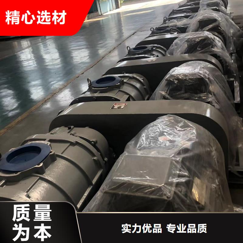 每日三葉羅茨鼓風機LFSR125