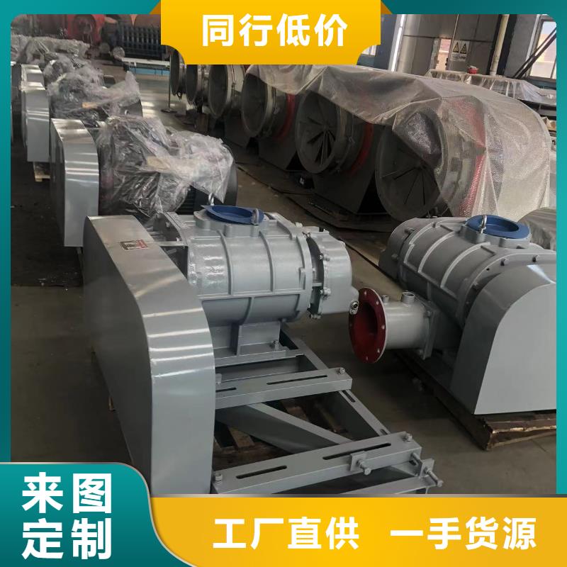 山東臨風(fēng)科技股份三葉羅茨鼓風(fēng)機(jī)LFSR100
