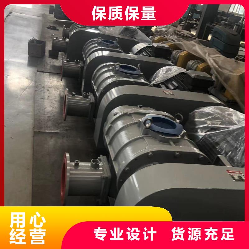 2025羅茨鼓風(fēng)機LFSR150