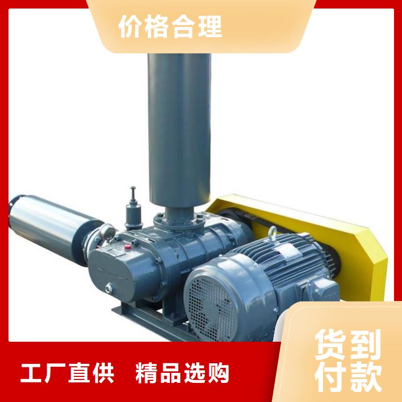 每日兩葉羅茨風機LFSR100