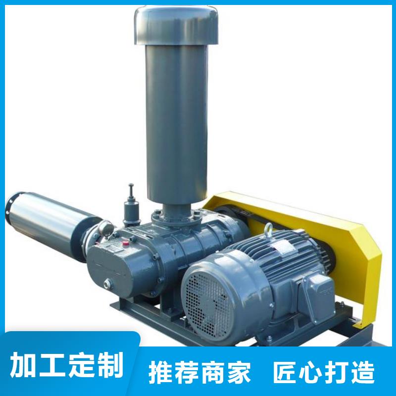 臨風股份返料風機LFSR100