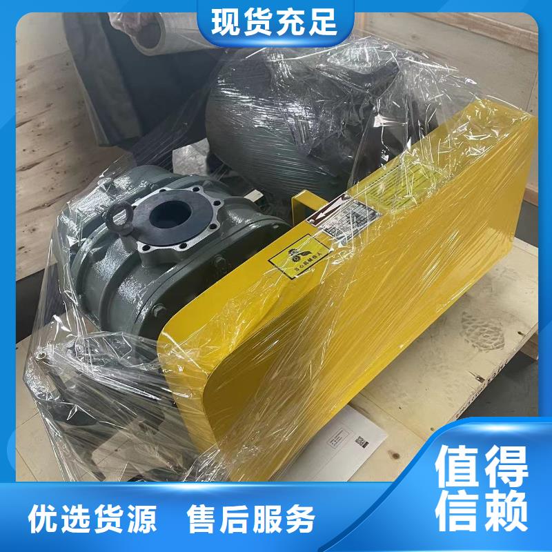 山東臨風(fēng)洗煤專用羅茨風(fēng)機(jī)LFSR150