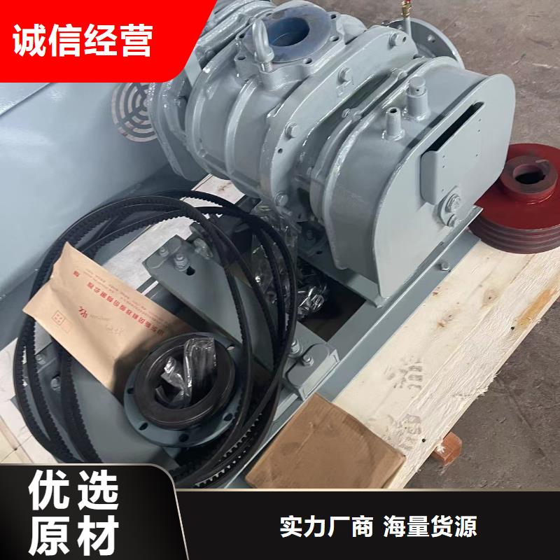 山東臨風科技股份L系列羅茨風機LFSR300