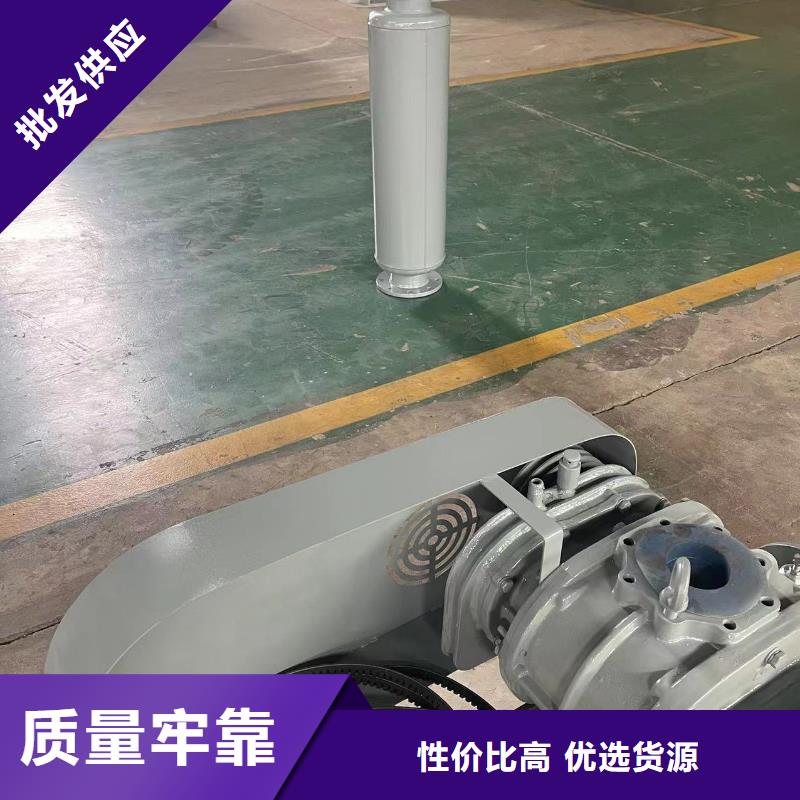 山東臨風科技股份返料風機LFSR80