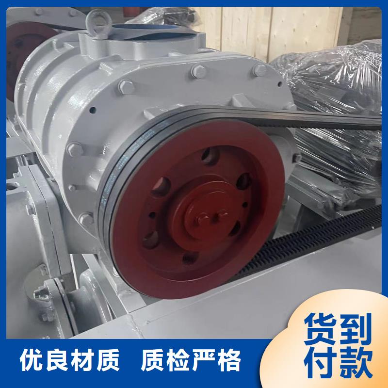 2025L系列羅茨風機LFSR150