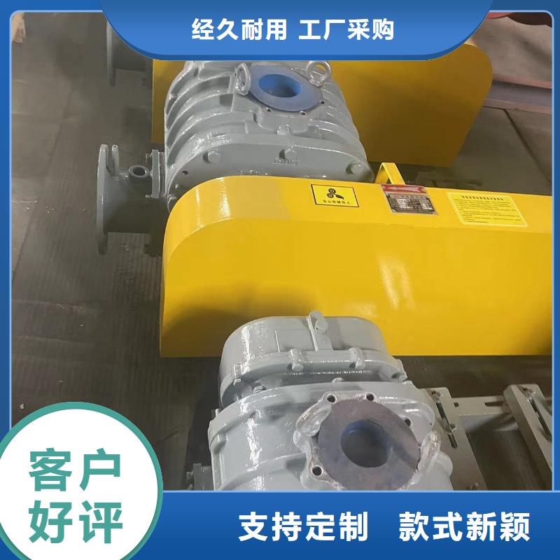 山東臨風科技氧化風機LFSR80