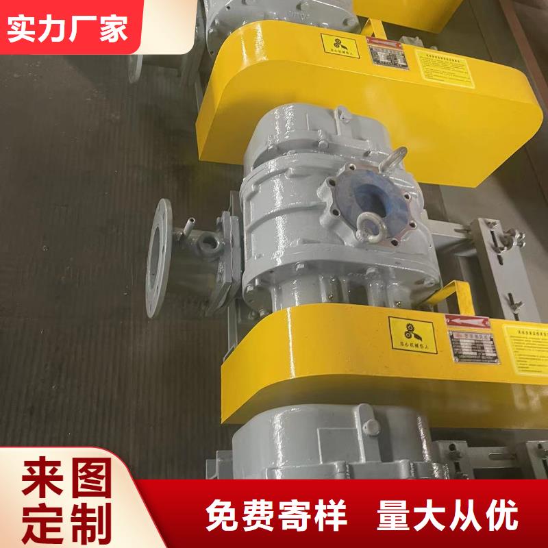 效率高羅茨鼓風(fēng)機(jī)LFSR250