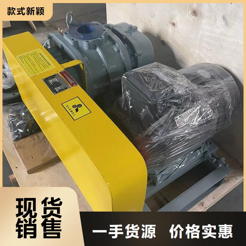 山東臨風科技股份羅茨鼓風機LFSR100
