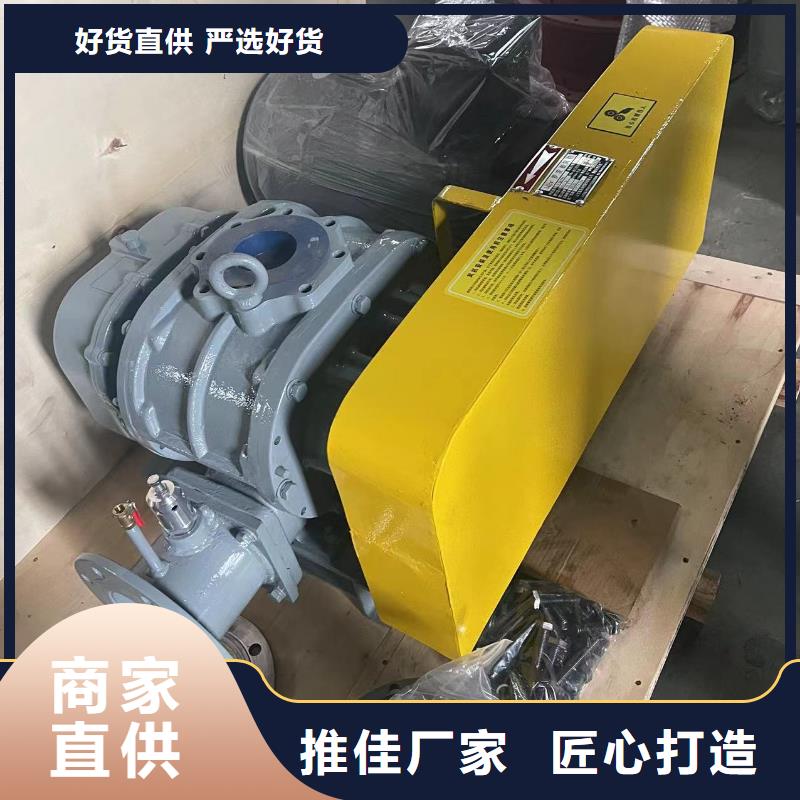 山東臨風科技股份有限公司氧化風機LFSR65