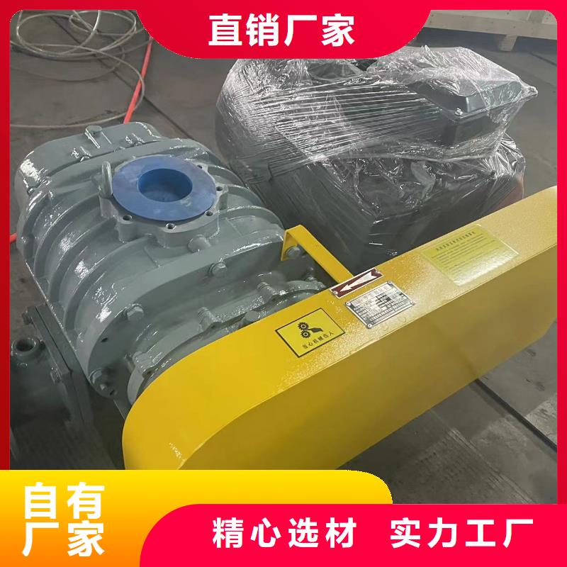 效率高羅茨鼓風(fēng)機(jī)LFSR250