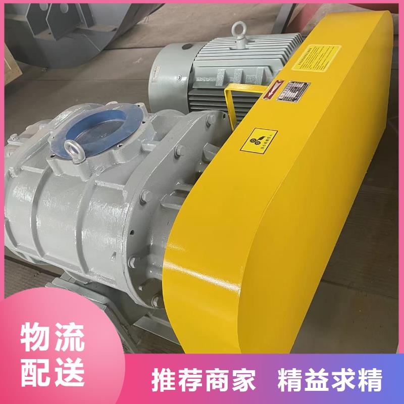 山東臨風科技股份羅茨鼓風機LFSR100