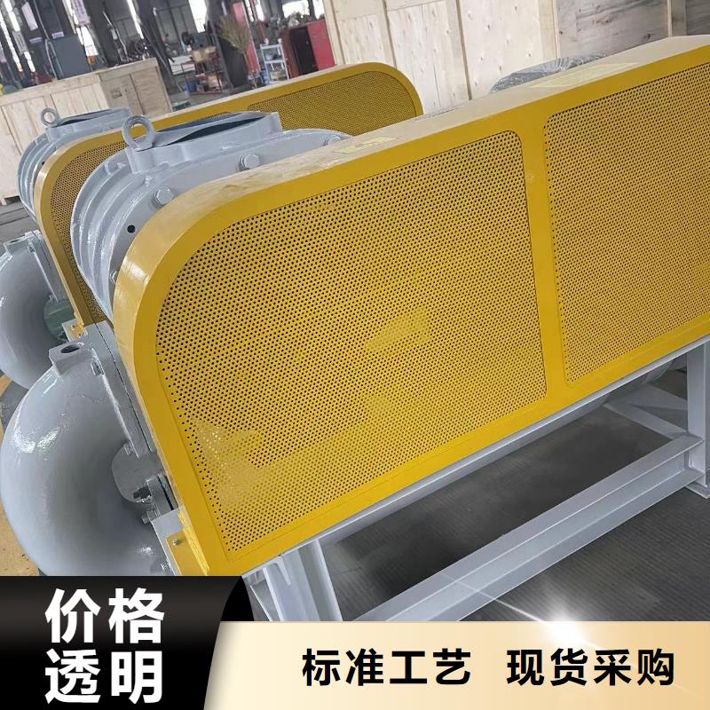 每日兩葉羅茨風機LFSR100