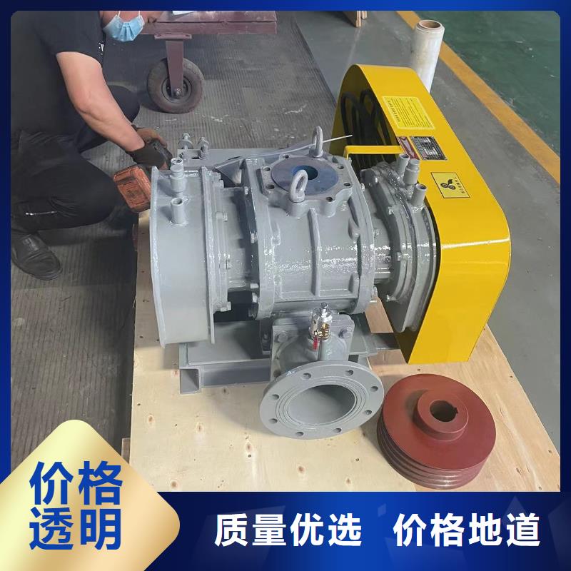 山東臨風科技股份返料風機LFSR80