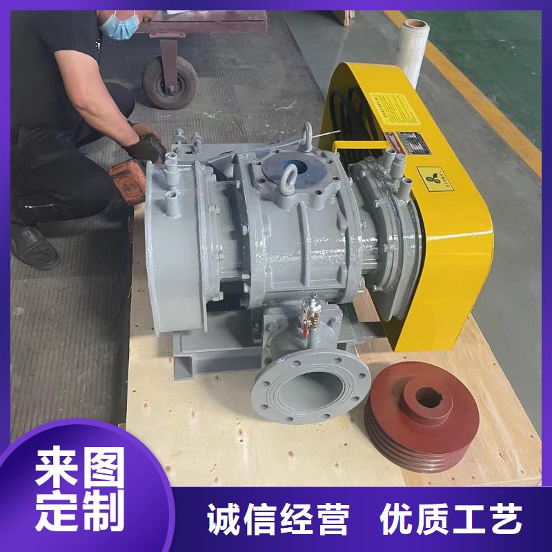 山東臨風科技股份兩葉羅茨風機LFSR125