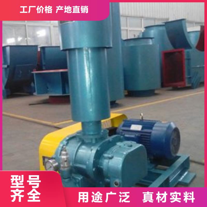 2025L系列羅茨風機LFSR125