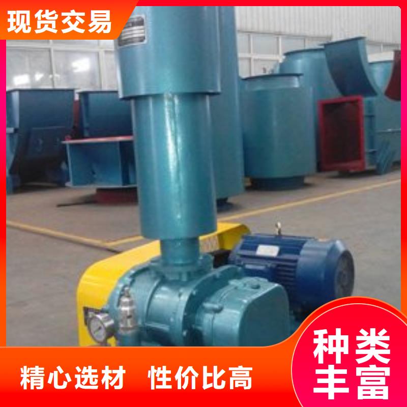 山東臨風科技股份兩葉羅茨風機LFSR100