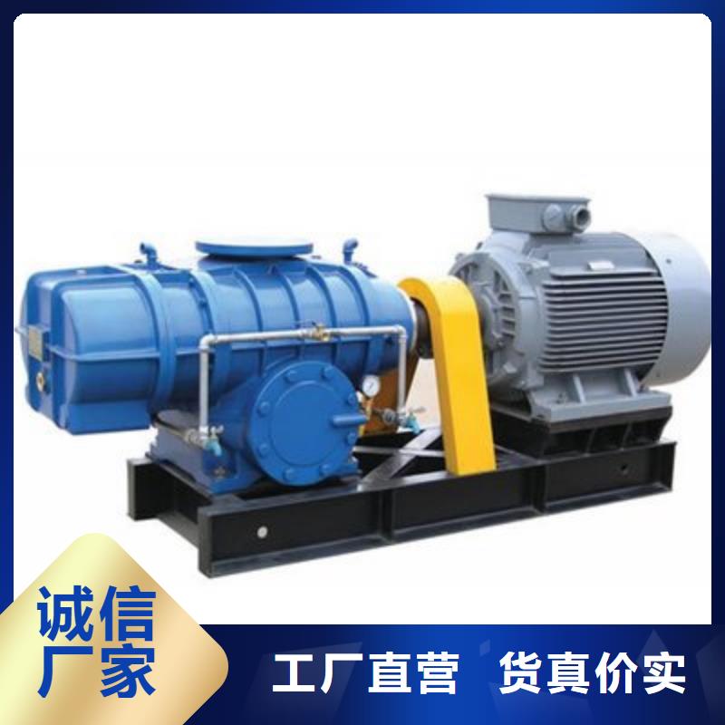 山東臨風科技股份有限公司羅茨鼓風機LFSR65