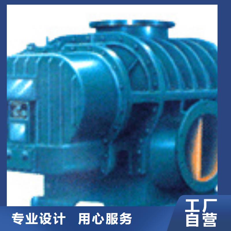 每日L系列羅茨風機LFSR250
