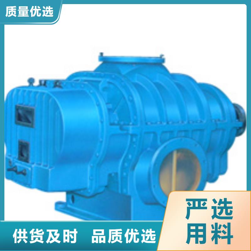 2025羅茨鼓風(fēng)機LFSR300