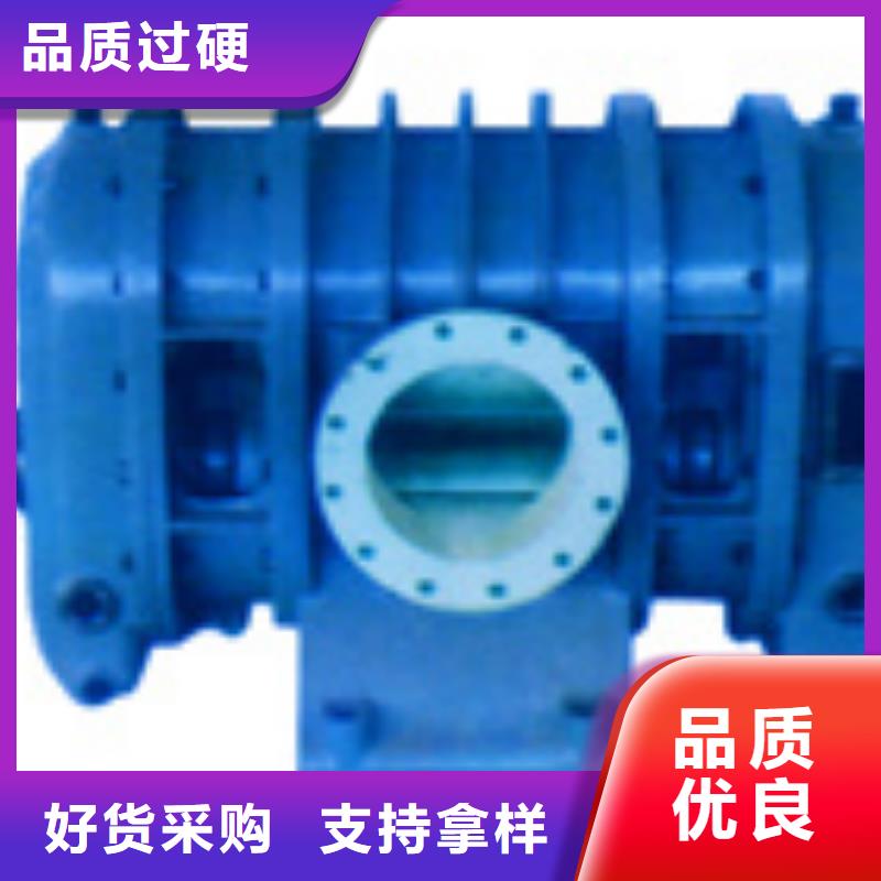 山東臨風科技股份兩葉羅茨風機LFSR100