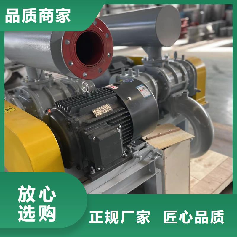 效率高兩葉羅茨風機LFSR125
