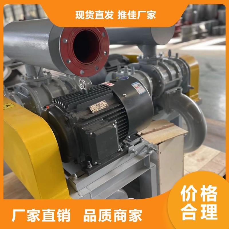 山東臨風科技股份兩葉羅茨風機LFSR125
