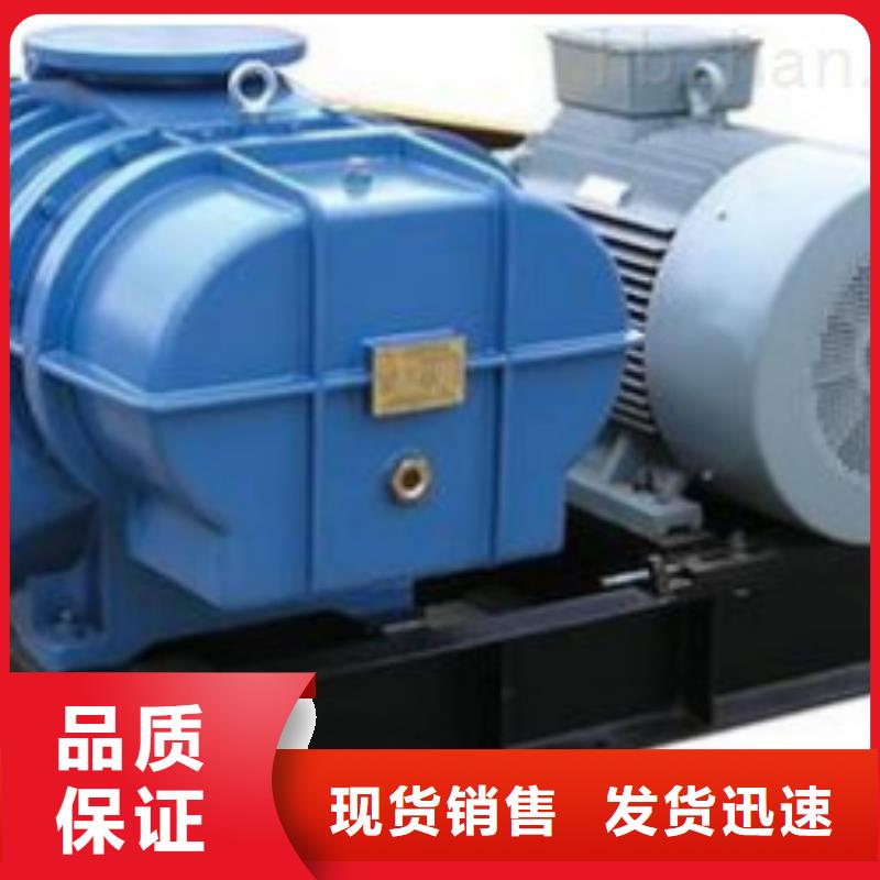 山東臨風(fēng)科技股份有限公司L系列羅茨風(fēng)機(jī)LFSR250