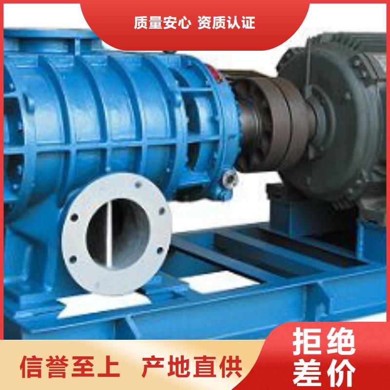 山東臨風科技股份洗煤專用羅茨風機LFSR250
