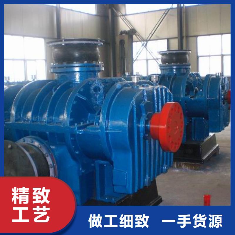 山東臨風科技股份兩葉羅茨風機LFSR250昌江縣